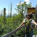 Lusenwanderung im Nationalpark Bayerischer Wald