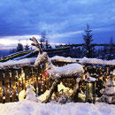 Christkindlmarkt auf dem Waldwipfelweg