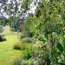 Landhaus Wildfeuer: Gartenparadies