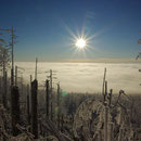 Winterstimmung im Nationalpark Bayerischer Wald