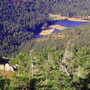 Blick vom Arber zum Kleinen Arbersee mit seinen berühmten schwimmenden Inseln