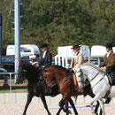 Showeinlage Barocktrio
