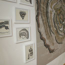 Mykologische Wandnotizen, 2010, Ei-Tempera auf Graupappe, 200 x 200 cm