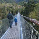 Goms Bridge