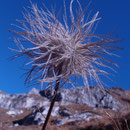 Natur pur...