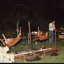 11 Juin 1988