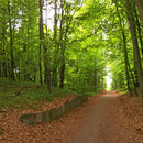Radweg