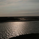 Noch immer steigt das Wasser. Am Ende wird nur noch der obere Damm aus dem Wasser schauen.
