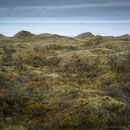 Dunes 6