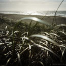 After the Storm