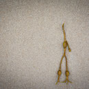 Flotsam 1