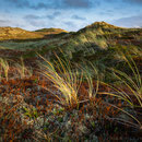 Dunes 4