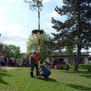 Nun steht er, der Maibaum