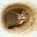 Orbita - canale ottico frontale