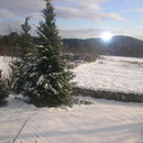 Garten im Winter und Blick in die Ferne