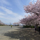 大広場にあふれる家族の笑顔（船越堤公園2014）