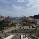駿河湾をのぞむ（船越堤公園2014）