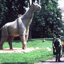 Paraceratherium © N. Bertelsbeck