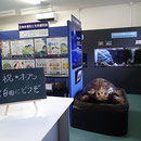 オープンしたウミガメ展示室です。