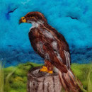 WOLLBILD GREIFVOGEL -  FILZ MIT HERZ FILZBILDER WOLLBILDER