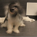 shake it...