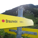 Braunedelkogel 1984m