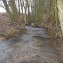 Der Forellenbach