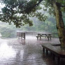 豪雨