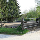 Paddock