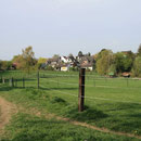 Weiden