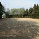 Dressurviereck (20 x 60 m)