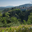 Pazin