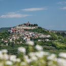 Motovun