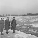 Treibeis im Rhein
