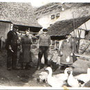 Aufnahme im Hof von Alois und Elisabeth Röther (Eltern von Karl, Hugo, Willi und Oskar)