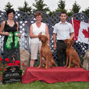Best of opposite in Sweep à la spécialité Vizsla Canada