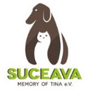 4 Tiere im Tierheim Suceava/Rumänien über Suceava - Memory of Tina eV