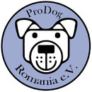 1 Tier in Rumänien über Pro Dog Romania eV
