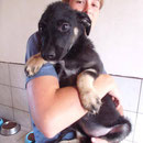 1 Hund in Rumänien durch Namenspatenschaft Eloise, Pro Dog Romania eV