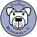 4 Hunde in Rumänien über Pro Dog Romania eV