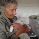 2 Kater, 2 Katzen in Svetlanas Tierheim/Sibirien, Tierhilfe Bluemoon eV