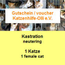 1 Katze auf Malta durch Katzenhilfe Olli eV
