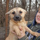 1 Tier in Rumänien durch Namenspatenschaft Kennedy Pro Dog Romania eV