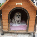 Berta