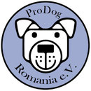 2 Tiere in Rumänien über Pro Dog Romania eV