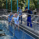 Wassertreten