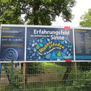 Motto des Jahres