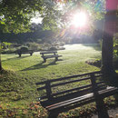 Morgenstimmung im Park