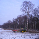 .................gegen Goliath