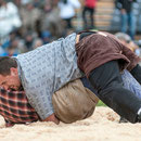 oberländisches schwingfest, sigriswil 29. Juni 2014